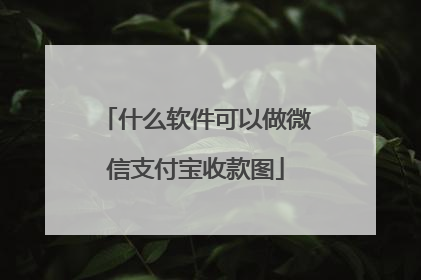 什么软件可以做微信支付宝收款图