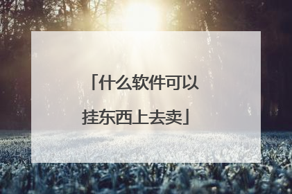 什么软件可以挂东西上去卖