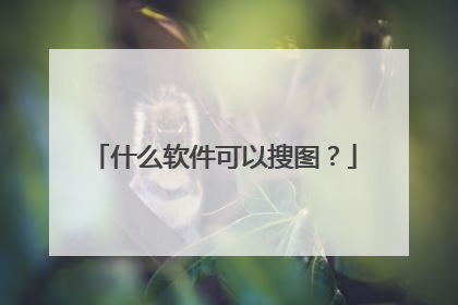 什么软件可以搜图?