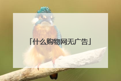 什么购物网无广告