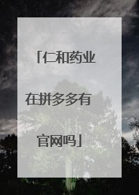 仁和药业在拼多多有官网吗