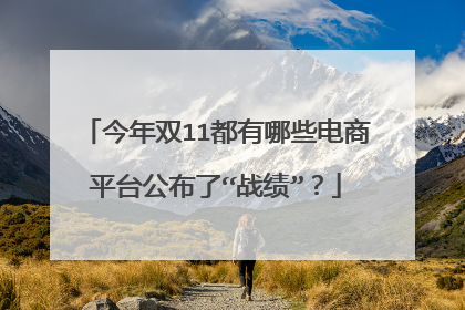 今年双11都有哪些电商平台公布了“战绩”?