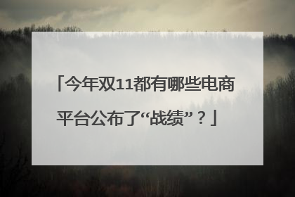 今年双11都有哪些电商平台公布了“战绩”?