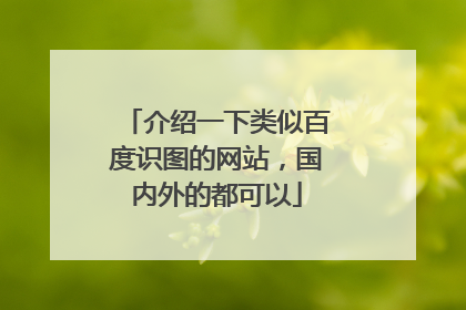 介绍一下类似百度识图的网站，国内外的都可以