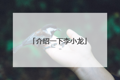 介绍一下李小龙