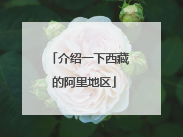 介绍一下西藏的阿里地区