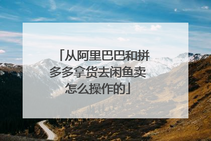 从阿里巴巴和拼多多拿货去闲鱼卖怎么操作的