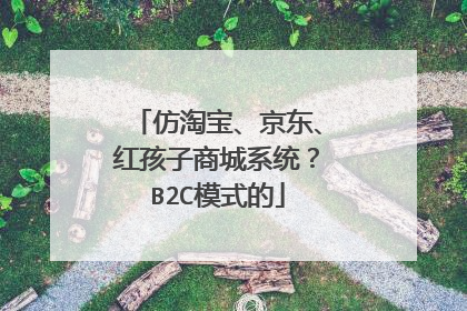 仿淘宝、京东、红孩子商城系统？B2C模式的