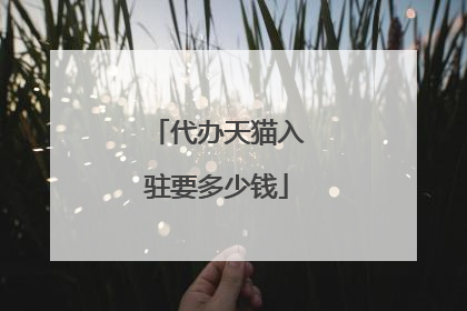 代办天猫入驻要多少钱