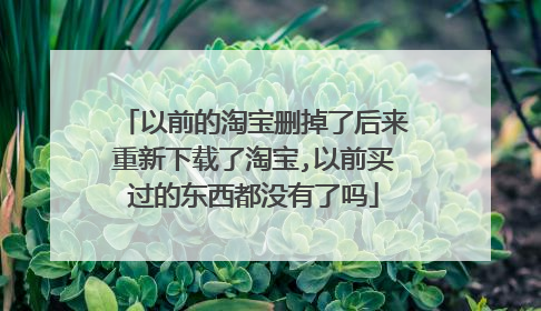 以前的淘宝删掉了后来重新下载了淘宝,以前买过的东西都没有了吗