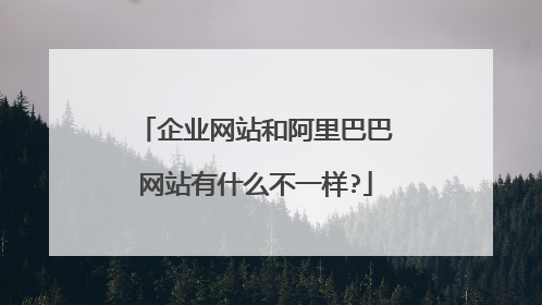 企业网站和阿里巴巴网站有什么不一样?