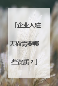企业入驻天猫需要哪些资质?