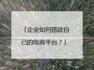 企业如何搭建自己的电商平台?