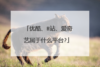 优酷、B站、爱奇艺属于什么平台?