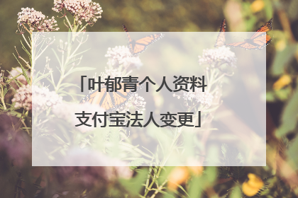 叶郁青个人资料 支付宝法人变更