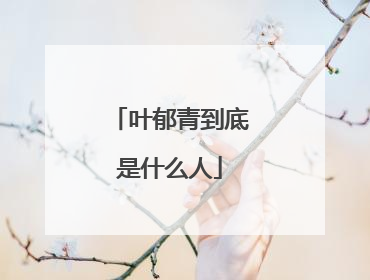 叶郁青到底是什么人