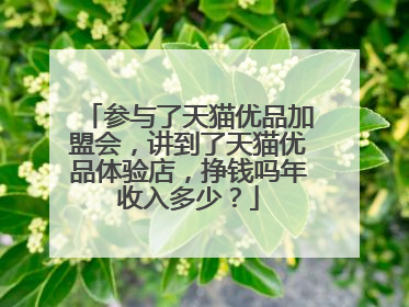 参与了天猫优品加盟会,讲到了天猫优品体验店,挣钱吗年收入多少?