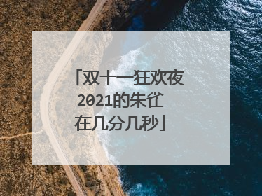 双十一狂欢夜2021的朱雀在几分几秒