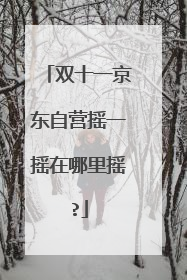 双十一京东自营摇一摇在哪里摇?