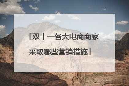 双十一各大电商商家采取哪些营销措施