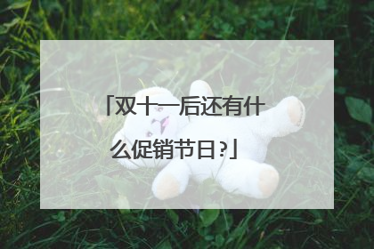 双十一后还有什么促销节日?