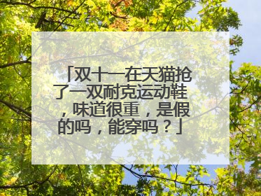 双十一在天猫抢了一双耐克运动鞋,味道很重,是假的吗,能穿吗?