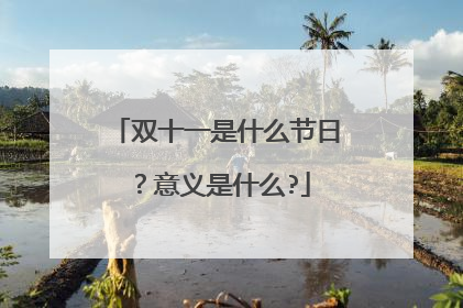双十一是什么节日?意义是什么?