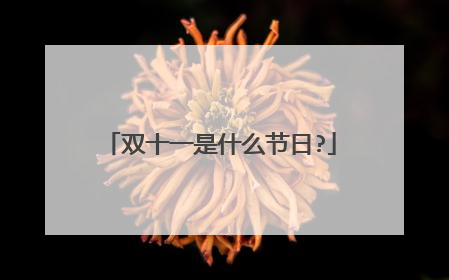 双十一是什么节日?