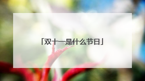 双十一是什么节日