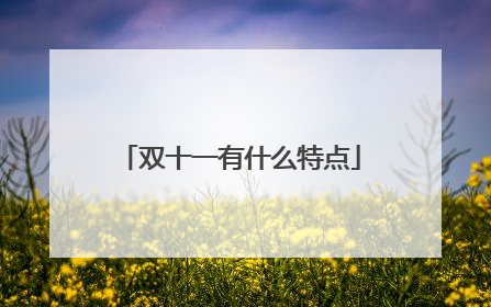 双十一有什么特点