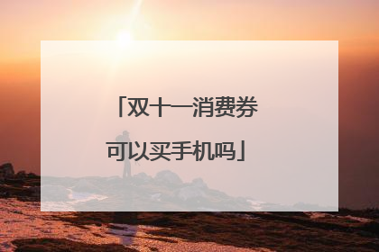 双十一消费券可以买手机吗