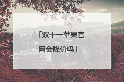 双十一苹果官网会降价吗