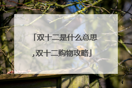 双十二是什么意思,双十二购物攻略