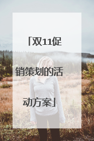 双11促销策划的活动方案