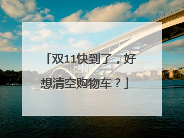 双11快到了,好想清空购物车?