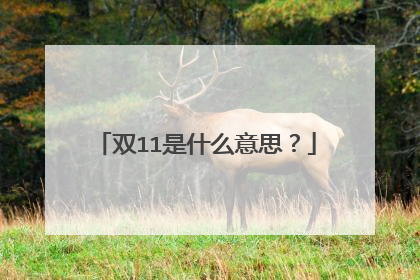 双11是什么意思?