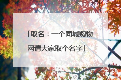取名:一个同城购物网请大家取个名字