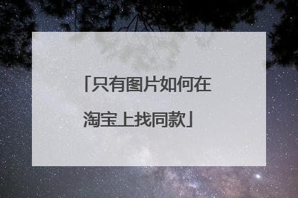 只有图片如何在淘宝上找同款