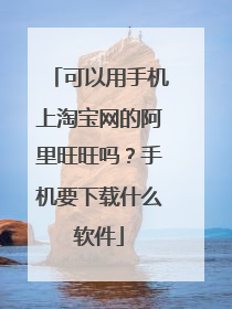 可以用手机上淘宝网的阿里旺旺吗？手机要下载什么软件