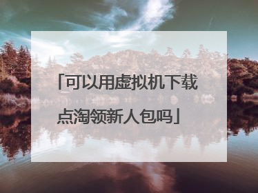 可以用虚拟机下载点淘领新人包吗