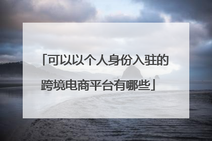 可以以个人身份入驻的跨境电商平台有哪些
