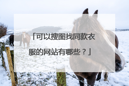 可以搜图找同款衣服的网站有哪些?
