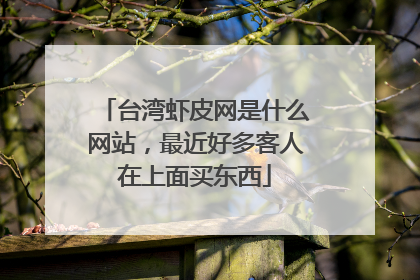 台湾虾皮网是什么网站,最近好多客人在上面买东西