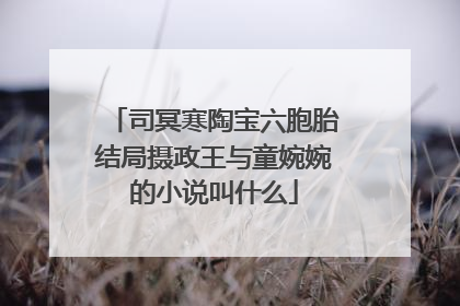 司冥寒陶宝六胞胎结局摄政王与童婉婉的小说叫什么