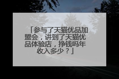 参与了天猫优品加盟会,讲到了天猫优品体验店,挣钱吗年收入多少?
