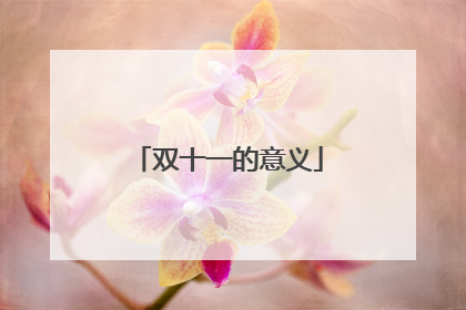 双十一的意义