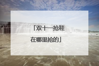 双十一抢鞋在哪里抢的