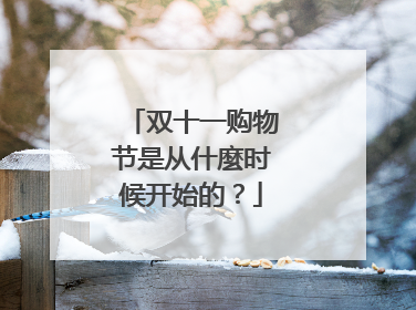 双十一购物节是从什麼时候开始的?