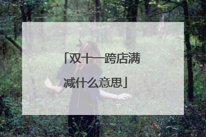 双十一跨店满减什么意思