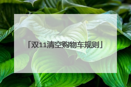 双11清空购物车规则